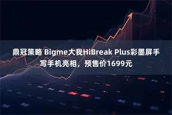 鼎冠策略 Bigme大我HiBreak Plus彩墨屏手写手机亮相，预售价1699元
