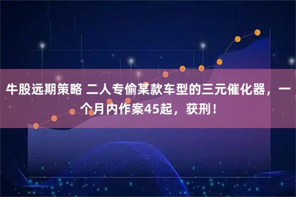 牛股远期策略 二人专偷某款车型的三元催化器，一个月内作案45起，获刑！