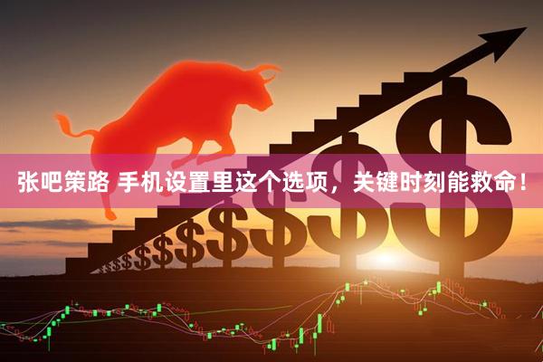 张吧策路 手机设置里这个选项，关键时刻能救命！